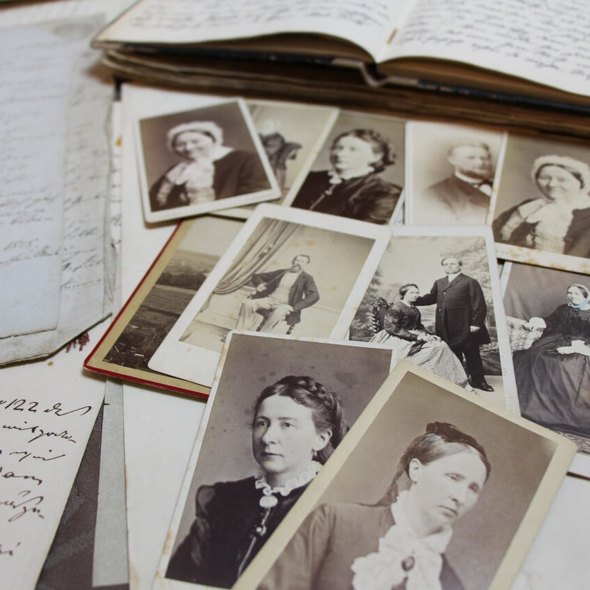 Árvore genealógica familiar Árvore genealógica da família